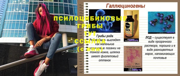 соль ск Армянск