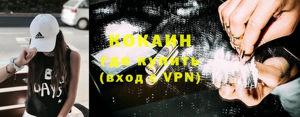 ешки Арсеньев