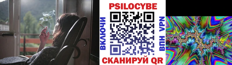 что такое   Ельня  Галлюциногенные грибы Psilocybe 